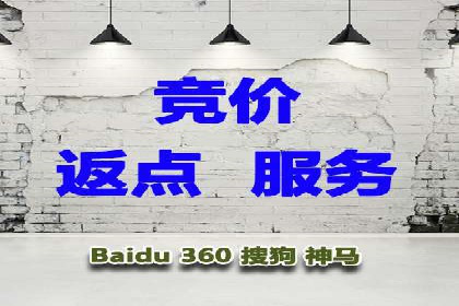 百度竞价与搜索引擎优化（SEO）的协同效应案例